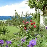 Appartamento Ferien In Feld 109 *