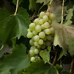 Appartamento Ferien In Feld 109